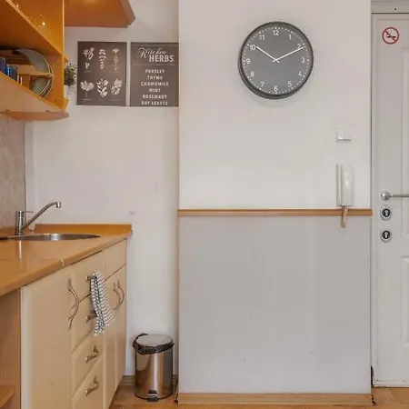 Apartment Charming On Vitosha Street By Flat Mаnager *
