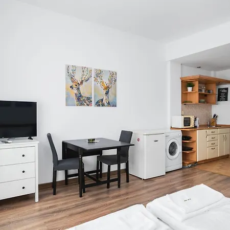 Charming On Vitosha Street By Flat Mаnager アパート